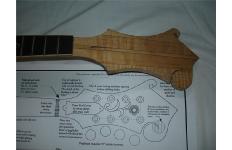 Luthier Related Image